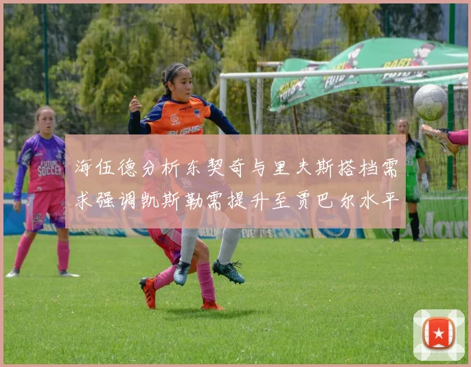 海伍德分析东契奇与里夫斯搭档需求强调凯斯勒需提升至贾巴尔水平