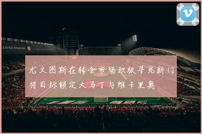 尤文图斯在转会市场积极寻觅新门将目标锁定大马丁与维卡里奥